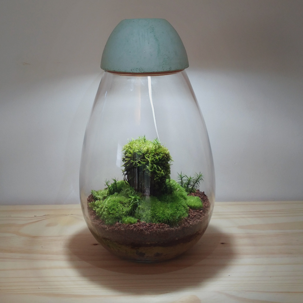 Moss Terrarium LED Light